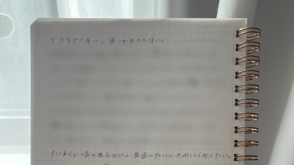 中学3年生の時に書いた日記